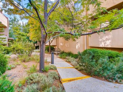 814 Camino De Monte Rey APT 21