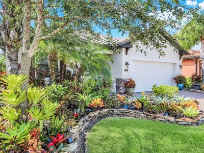 4244 Raffia Palm CIR