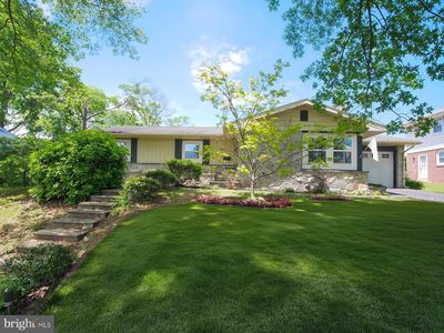 1017 Sycamore Dr