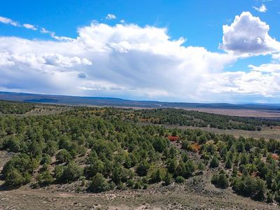 Highway 84/64 #84/64