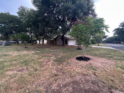 217 ELMWOOD DR