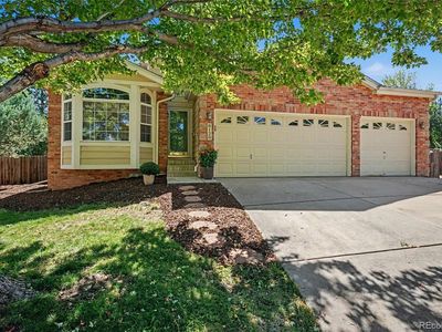 8128 Spikegrass Court