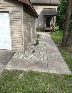 1784 White Tail Ct