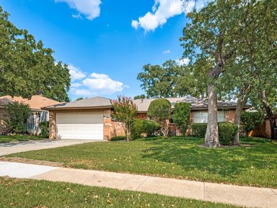 2728 Meadow Grn