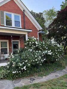 105 Gwyn Ave
