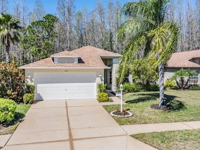 1107 Sweet Jasmine Dr