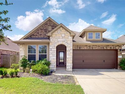 29919 Vallonea Oak
