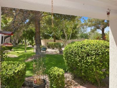 10225 Button Willow Dr