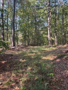 5421 Dixie Springs Rd
