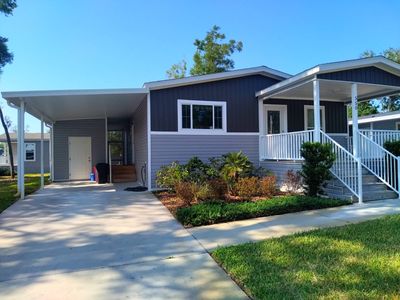 550 Florida Holly Ave