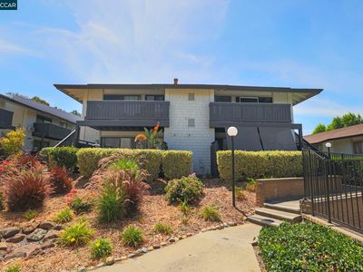 1437 Marchbanks Dr APT 3