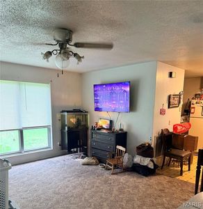 Property at 1176 County Road 523, Poplar Bluff, MO