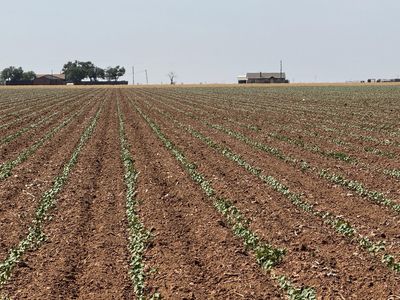 3915 E Fm 1729