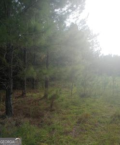 Property at 0 Salter Rd, Bartow, GA