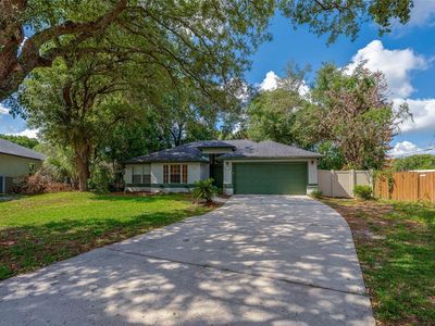 203 Live Oak Ct