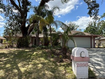 2898 Hammock Dr