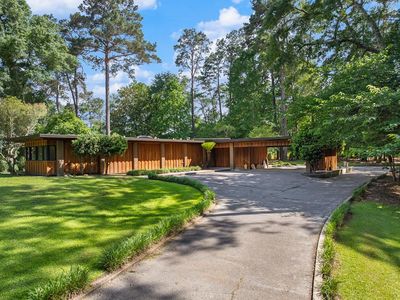504 Live Oak Rd
