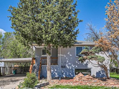 Property at 1265 Ammons Street, Lakewood, CO