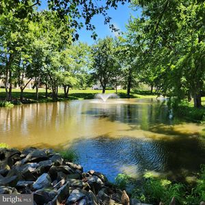 116 The Pond Way #3C
