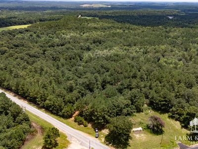 0 State Highway 87 & County Rd #215