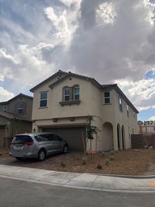 2823 Turnstone Ridge St