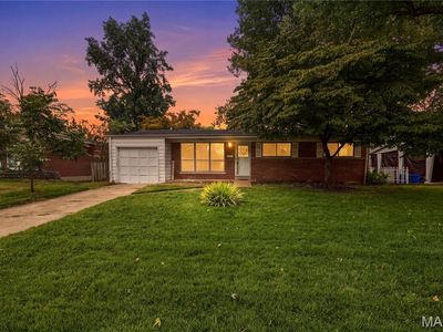 14 Tamma Ln