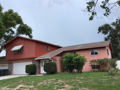 Property at 3101 Buttercup St, Seffner, FL