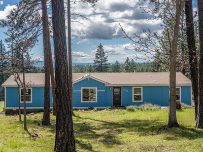 206 Goldenpine