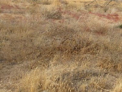 Property at 043-330 Twissleman Rd #1, Lost Hills, CA