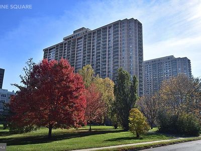 5505 Seminary Rd APT 2215N