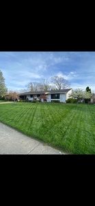 939 Torrence Dr