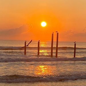 255 Minorca Beach Way APT 205