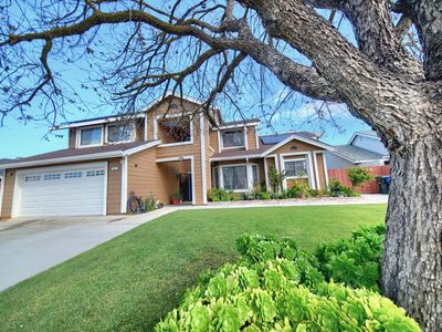 881 Snowgoose Ln