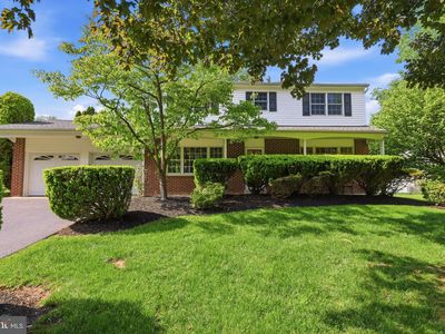 121 Buck Hill Dr