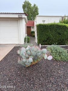 5619 E CENTURY Lane