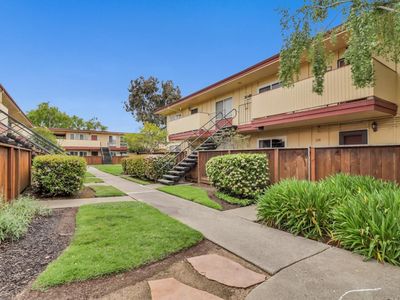 3049 Los Prados St APT 223