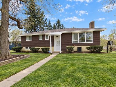 1500 Salt Springs Rd