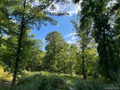 Property at 3405 Route 52, Stormville, NY