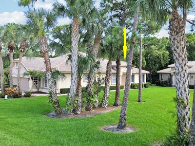 7010 Willow Pine Way