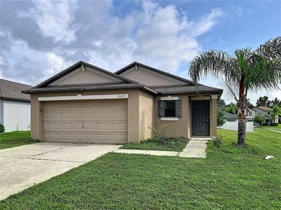 36095 CARRIAGE PINE COURT
