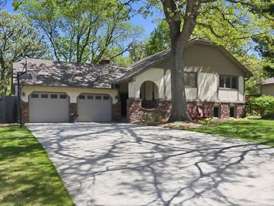 793 Torchwood Dr