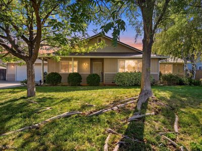 4615 Dandelion Dr