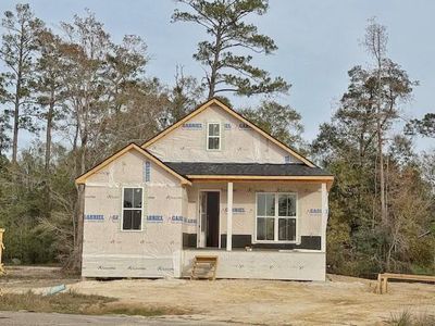 21326 Lake Maurepas Ct