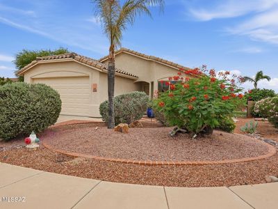 9035 N Mexican Sage Pl