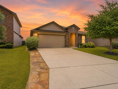 2122 Silver Maple