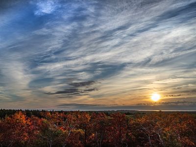 40 Firefly Point #40