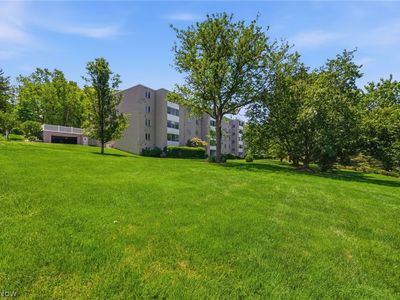 520 Meredith Ln APT 516