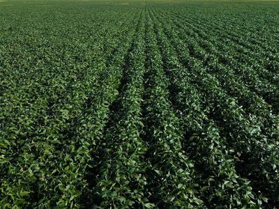 428th Avenue And 103rd St