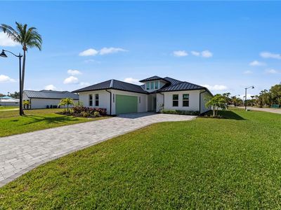 12349 Sweet Kiwi LN