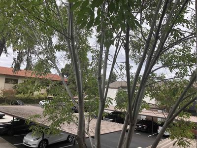 1361 Caminito Gabaldon Unit D